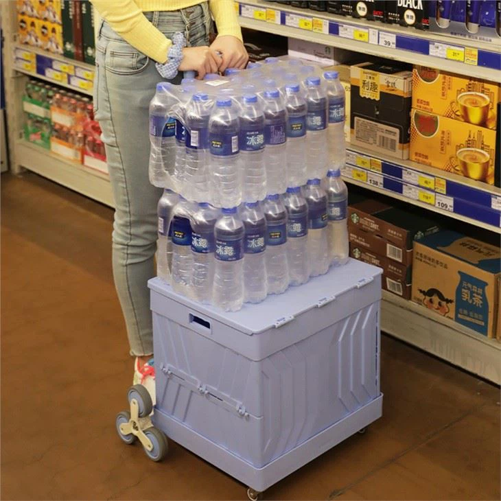 Grocery Shopping Cart